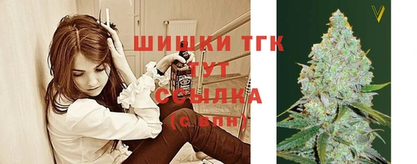 гашик Абинск