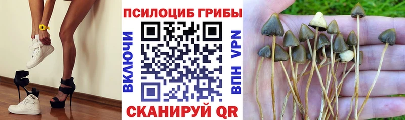 Галлюциногенные грибы GOLDEN TEACHER Кумертау